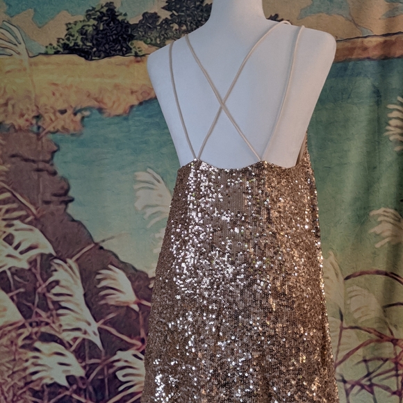 Free People New Years Eve Sparkler Dress - Picture 5 of 10